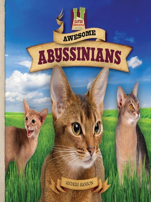 cover image of Awesome Abyssinians